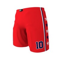 Штаны (шорты, трусы) хоккейные